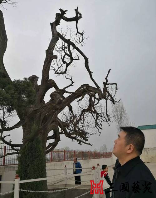 ���߽������ʵ���䡱�������������ż�Ѱ����վ�ɹ��ٰ죨��ͼ��