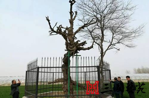 ���߽������ʵ���䡱�������������ż�Ѱ����վ�ɹ��ٰ죨��ͼ��